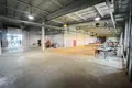 Manufacture 5 rooms 3 983 m² in Krychau, Belarus