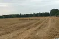 Działki 80 000 m² Tuzser, Węgry