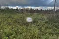 Land  Svetlogorsk, Russia