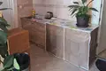 Villa 9 Schlafzimmer 220 m² Budva, Montenegro