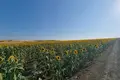 Appartement  Tankovo, Bulgarie