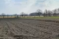 Grundstück  Klein Paniow, Polen