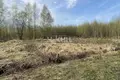 Działki 1 000 m² gorodskoy okrug Bor, Rosja