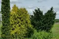 House 63 m² Prudzisca, Belarus