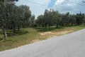 Land  Skala Sotiros, Greece