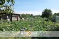 Haus 49 m² Pleschtschanizy, Belarus
