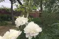 Дом 39 м² Руденский сельский Совет, Беларусь