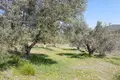 Commercial property 3 500 m² in Asprovrysi, Greece