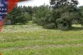 Grundstück  Navapolski sielski Saviet, Belarus