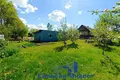 Land  Sienica, Belarus