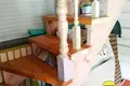 Maison 45 m² Miasocki sielski Saviet, Bélarus