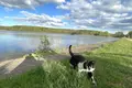 Atterrir  Pliescanicki sielski Saviet, Bélarus