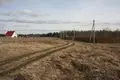 Grundstück  Bolsevrudskoe selskoe poselenie, Russland