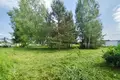 Działki  Zodzinski sielski Saviet, Białoruś