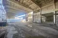 Manufacture 2 611 m² in Lyepyel, Belarus