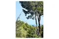 Land  Altea, Spain