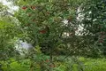 Parcelas  Anninskoe gorodskoe poselenie, Rusia