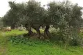Atterrir  Grèce, Grèce
