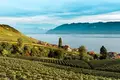 Boutique Hotel with a breathtaking view of Lake Geneva