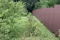 Działki  Dziamidavicki sielski Saviet, Białoruś