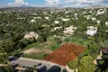 Atterrir 1 409 m² Paphos, Chypre