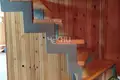 Haus 53 m² Bolsoe Mokroe, Russland