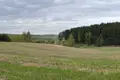 Haus 42 m² Radaskovicki selski Savet, Belarus