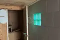House 50 m² Rakauski selski Savet, Belarus