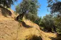 Atterrir 1 chambre  Dafnáta, Grèce