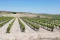 Gewerbefläche  el Pinos Pinoso, Spanien