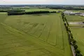 Land 170 708 m² Niepruszewo, Poland