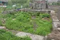 Дом  Мухавецкий сельский Совет, Беларусь