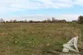 Grundstück  Turna Vialikaja, Weißrussland