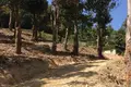 Земельные участки  Ви Чит, Таиланд