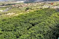Wohnung  Buenavista del Norte, Spanien