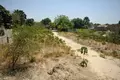 Земельные участки 1 560 м² Old Yundum, Гамбия