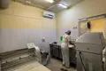 Manufacture 200 m² in Minsk, Belarus