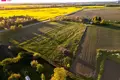 Działki  Krotynga, Litwa