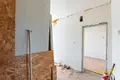 Wohnung 2 zimmer 37 m² Svetly Bor, Belarus