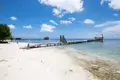 Дом 1 спальня 96 м² Pollytilly Bight, Гондурас