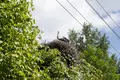 Дом 5 комнат 297 м² Лошанский сельский Совет, Беларусь