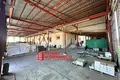 Manufacture 2 300 m² in Novaja Hoza, Belarus