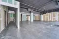 Geschäft 4 zimmer 236 m² in Minsk, Weißrussland