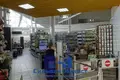 Коммерческое помещение 1 675 м² Молодечно, Беларусь