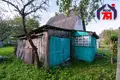 Дом 35 м² Нарочанский сельский Совет, Беларусь