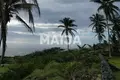 Land  Samaná, Dominican Republic