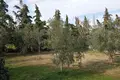 Cottage 3 bedrooms 110 m² Nea Silata, Greece
