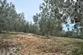 Commercial property 4 000 m² in Peloponnese Region, Greece