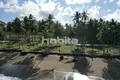 Grundstück  Nagua, Dominikanischen Republik