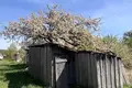 Maison 40 m² Liasnianski sielski Saviet, Bélarus